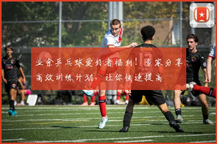 业余乒乓球爱好者福利！专家分享高效训练计划，让你快速提高